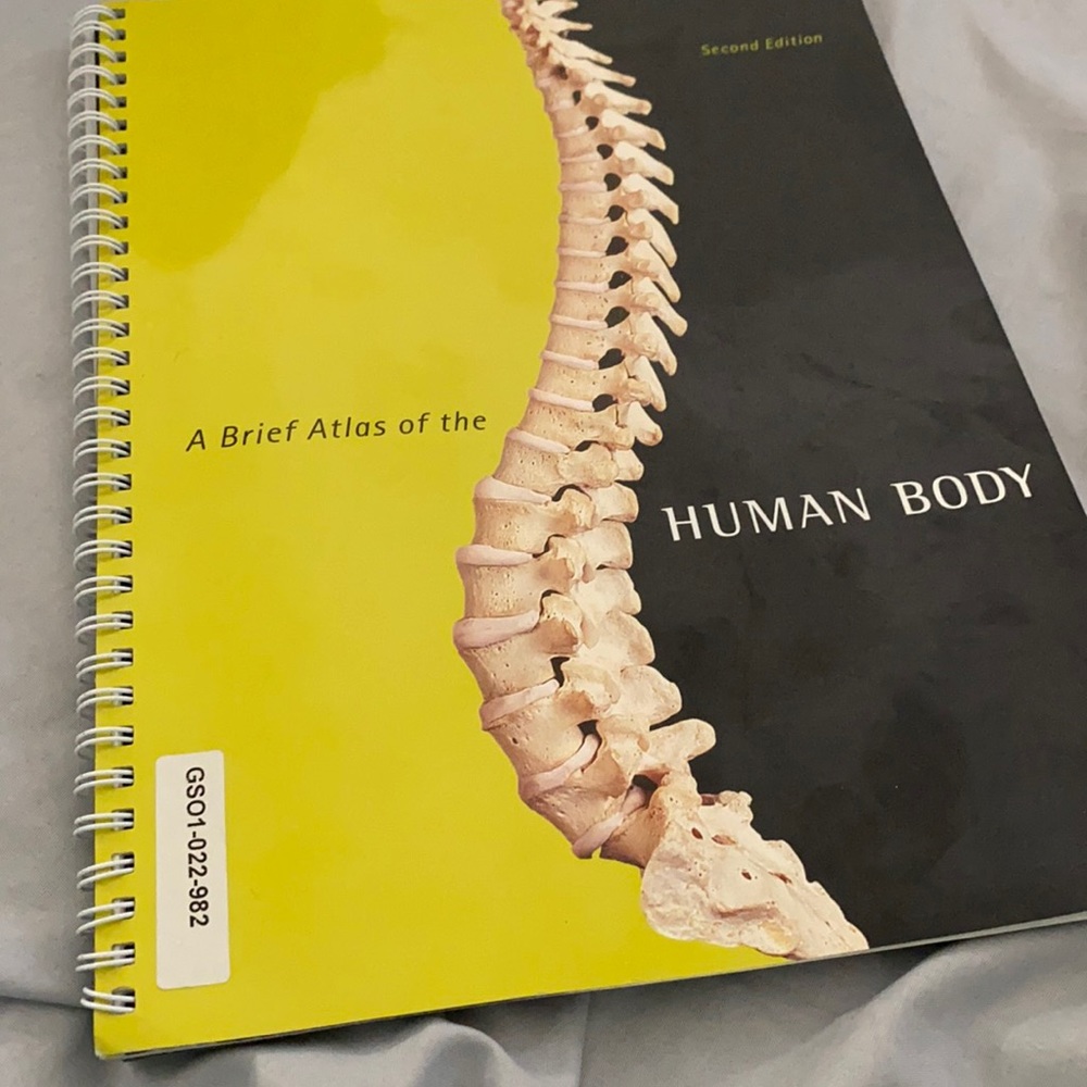 A Brief Atlas of the Human Atlas